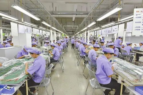 女工成長觀察 從謀生到逐夢的網絡技術研發之路