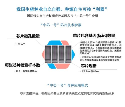 江西2021年十大科技成果揭曉 多項技術成果達全球領先水平